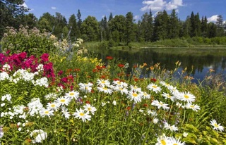 Weather forecast for July 17