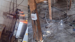 Buxoro viloyatida “Mayning ferma” fosh etildi