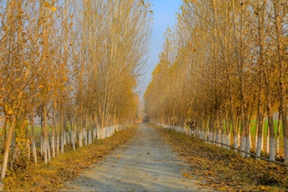 2025 йил декабрь ойида қандай об-ҳаво кутилмоқда?