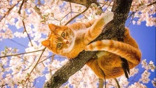 На этой неделе погода будет по-весеннему переменчивой