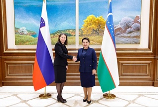 В Сенате состоялась встреча с председателем Суда аудита Республики Словения