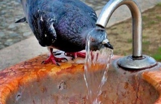 Дам олиш кунлари ҳаво ҳарорати бироз пасаяди