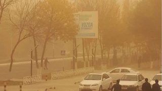 Особенности вождения в пылевые бури