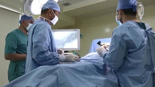 Одобрен Закон «О трансплантации человеческих органов и тканей человека»