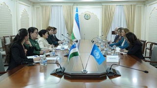 В Сенате состоялась встреча с представителями Всемирной организации здравоохранения