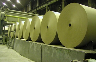 Нарпай ауданында  қағаз өндіретін өнеркәсіп  іске қосылды