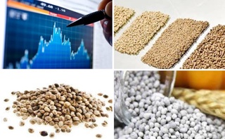 На Узбекской республиканской товарно-сырьевой бирже снизились цены на комбикорм, технические семена и аммофос