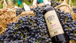 Узбекистан и Азербайджан обсудили вопросы сотрудничества в сфере виноделия