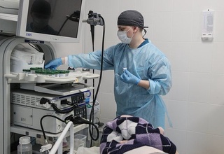 Ошқозон саратони юзага келишининг янги сабаби аниқланди