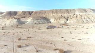 Туркман қулонлари қўриқхона ҳудудига қўйиб юборилди