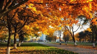 Прогноз погоды на 22 ноября