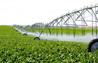 “Текин”дан “тилло”га тенглашаётган ресурс