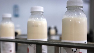 Российские ученые создадут первую в мире съедобную вакцину от коронавируса