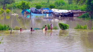 Деҳлида сув тошқини: одамлар уйларини тарк этишга мажбур бўлмоқда