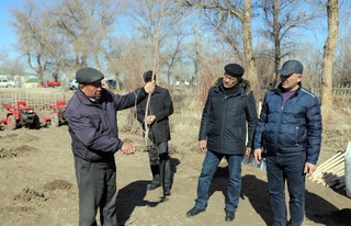 Мәҳәллелерге бир күнде 10 мың түп шийе нәллери жеткерилди