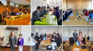 В ООН высоко оценили политику Узбекистана в области