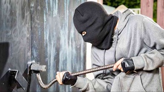 O‘zbekistonda jinoyatchilikning asosiy sabablarini o ‘rganishga qaratilgan amaliy ishlar: o‘g‘rilik jinoyatchiligi misolida