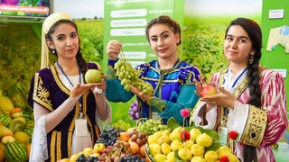 Агросектор: основа достатка и благополучия