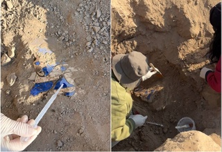 Qadimgi Qanqa shahridan 10 – 11 asrlarga oid devoriy suratlar qayd etildi