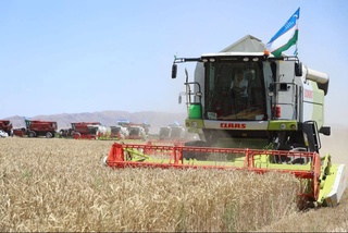 Зерноводы Навоийской области взяли рубеж