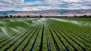 Эффективно используя землю, экономя водные ресурсы
