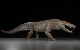 Patagoniyada timsohga o'xshash yirtqich hayvonning toshga aylangan qoldiqlari topildi