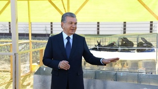 Гўшт нархини арзонлаштириш бўйича тавсиялар берилди