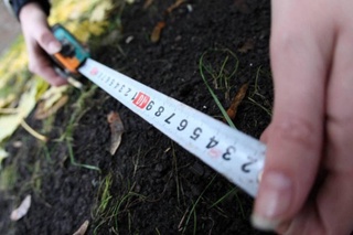 Ер участкасини ўзбошимчалик билан эгаллаш билан боғлиқ 23 минг 695 та ҳолат аниқланди