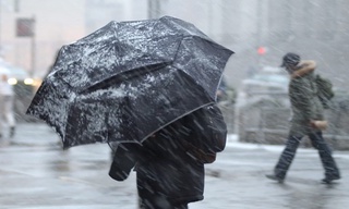 Дам олиш куни ёмғирли ва шамолли бўлиши мумкин