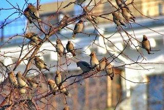 Прогноз погоды на 9 декабря