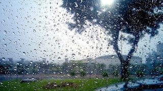 Ўзбекистоннинг катта қисмида қисқа муддатли ёмғир ёғиши кутилмоқда