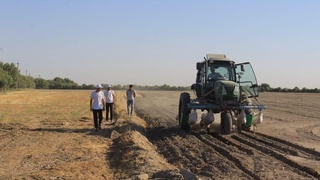 Yoshlarga 1 gektardan yer ajratiladi va ular ishni mustaqil tashkil etadi
