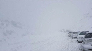 Қамчиқ довонида қор қалинлиги 1 метрдан ошди