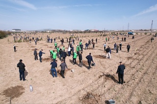 Қашқадарёда “Халқ қабулхонаси боғи” бунёд этиляпти
