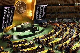 The UN General Assembly adopted a resolution on sustainable forest management on the initiative of Uzbekistan