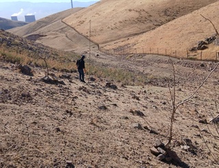 Illegal hunting of wild birds has been suppressed in the Akhangaran region