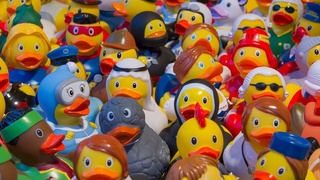 The safety requirements for the production of children's toys are determined