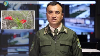 Министерство экологии Узбекистана призывает граждан организовывать отдых без вреда природе