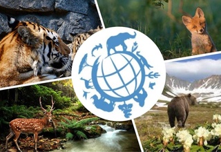 22 мая - Международный день биологического разнообразия