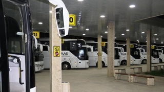 Пойтахтдан республикамиз бўйлаб 15 та йўналишда  автобус қатнови йўлга қўйилди