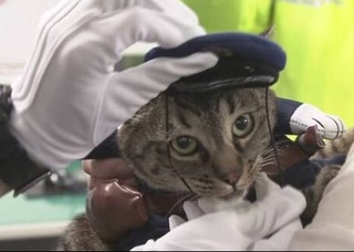 Mushuk politsiya bo'limini 1 kun “boshqardi”