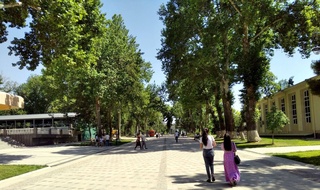 Weather forecast for May 24