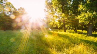 Бугун об-ҳаво қандай бўлади?