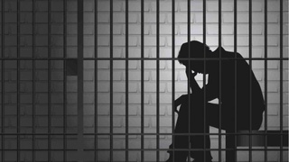 Жиноятларнинг содир этилишига имкон берган шарт-шароитлар ўрганилади