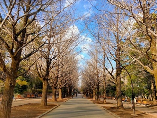 Weather forecast for December 26