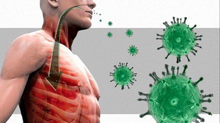 Коронавирус инсон танасида ҳаракатсиз, ўзини намоён қилмай бир неча йил яшаб қолиши мумкин