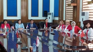 Роль женщин в демократическом обновлении и модернизации страны: опыт Узбекистана и международная практика