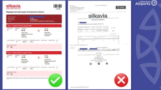 Silk Avia йўловчиларни авиачипталар билан боғлиқ фирибгарликдан огоҳлантиради