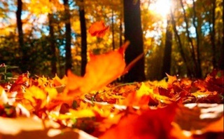 Пешгӯии обу ҳаво барои 13 октябр