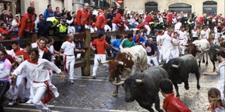 San-Fermin festivali: ko'plab odamlar buqalar bilan poygada jarohat olishdi